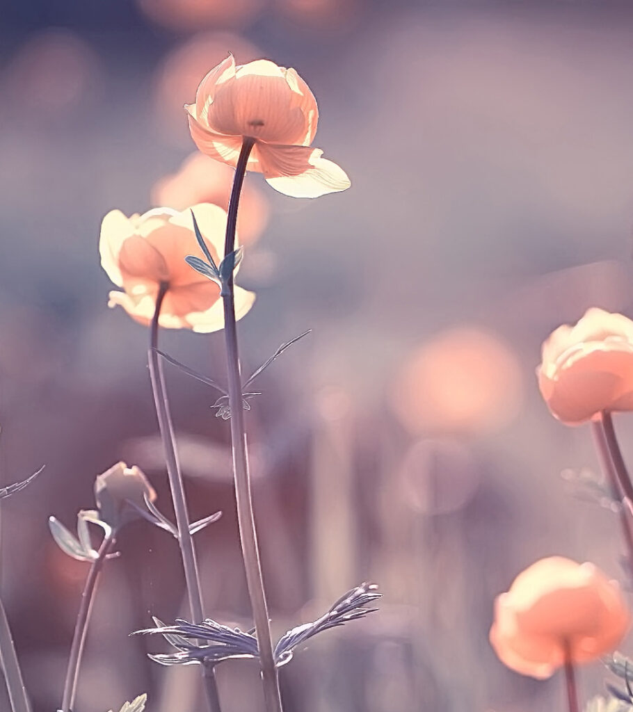 We can start Lifening